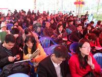 凤岭春天10.04.18开盘