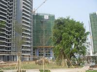 半岛半山 (2010.06.05)