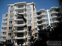 三元极第实景图