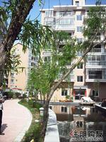 三元极第实景图