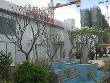 实景图