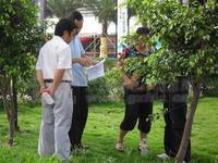 汇东星城二期2010.06.19千人开盘“日光”
