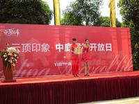 云顶印象园林2010.06.19盛大开放
