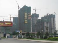 实景图