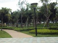 融晟公园大地实景