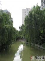 金水湾境界4期实景图