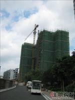 金水湾境界4期实景图