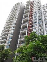 金水湾境界4期实景图