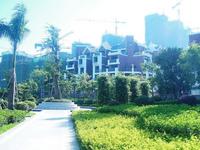 融晟公园大地实景图