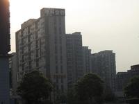 实景拍摄