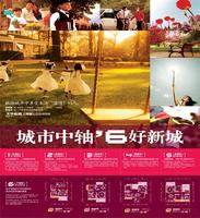 50cmX70cm文华新城海报B面