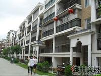 风景国际实景图