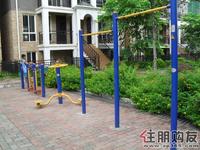 风景国际实景图