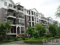 风景国际实景图