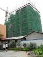 风景国际实景图