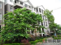 风景国际实景图