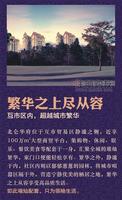 东兴互市贸易区宣传图