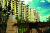 金湾蓝岸实景图