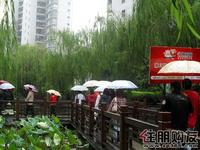 9月24日购房节活动