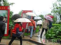 9月24日购房节活动