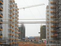 中房·碧翠园实景图