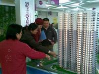 玫瑰园007号活动图片