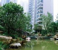 区内水池