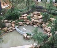 小水池