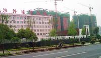 配套涉外学院