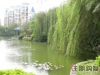 碧水康城实景图