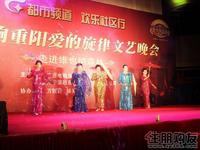 维也纳森林“欢乐社区行”晚会举行