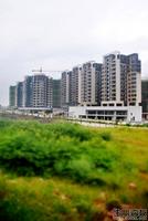 绿海云天实景图