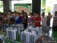 绿海云天活动图