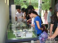 绿海云天活动图