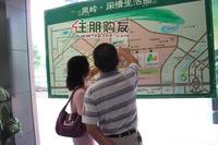 绿海云天活动图