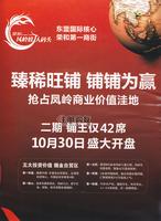 荣和·凤岭娱人码头广告欣赏