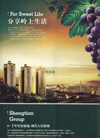 盛天果岭广告欣赏