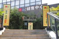 昊壮·一品尊府实景图