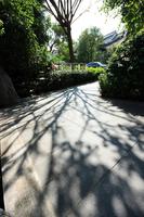 昊壮·一品尊府实景图