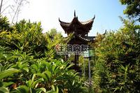 昊壮·一品尊府实景图