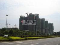 汇东星城实景图