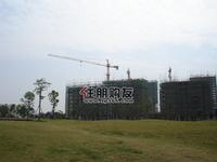 汇东星城实景图