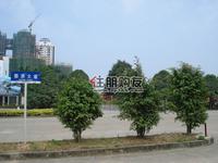 汇东星城实景图
