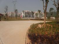 瑞和家园实景图