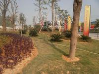 瑞和家园实景图