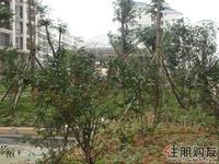 英伦18实景图