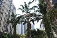 2010.10.30 大观天下实景图