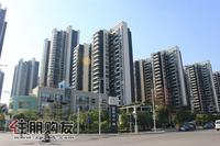 2010.10.30民发·大观天下实景图