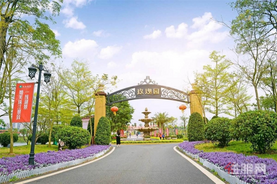 梧州彰泰·玫瑰园