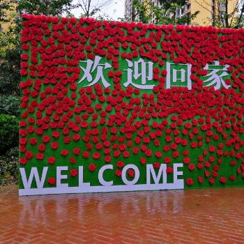 卢秋霜
